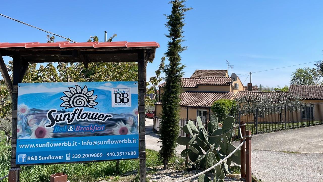 Sunflower Lanciano Exterior photo